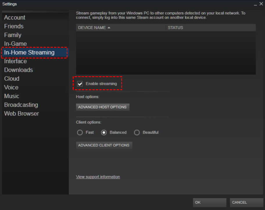 Steam Enable Streaming 